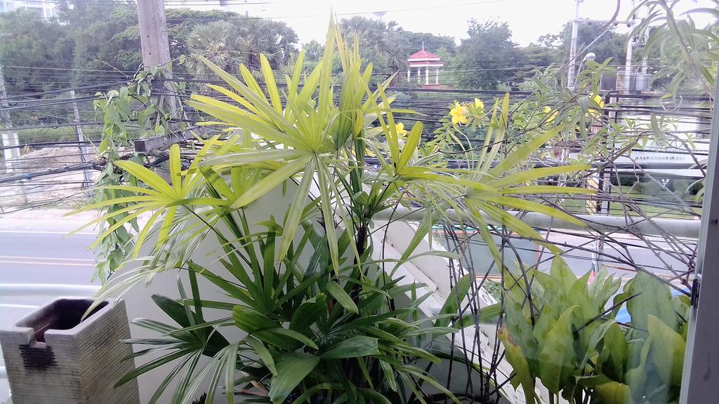 Corner Cafe Bed & Breakfast Hua Hin Ngoại thất bức ảnh